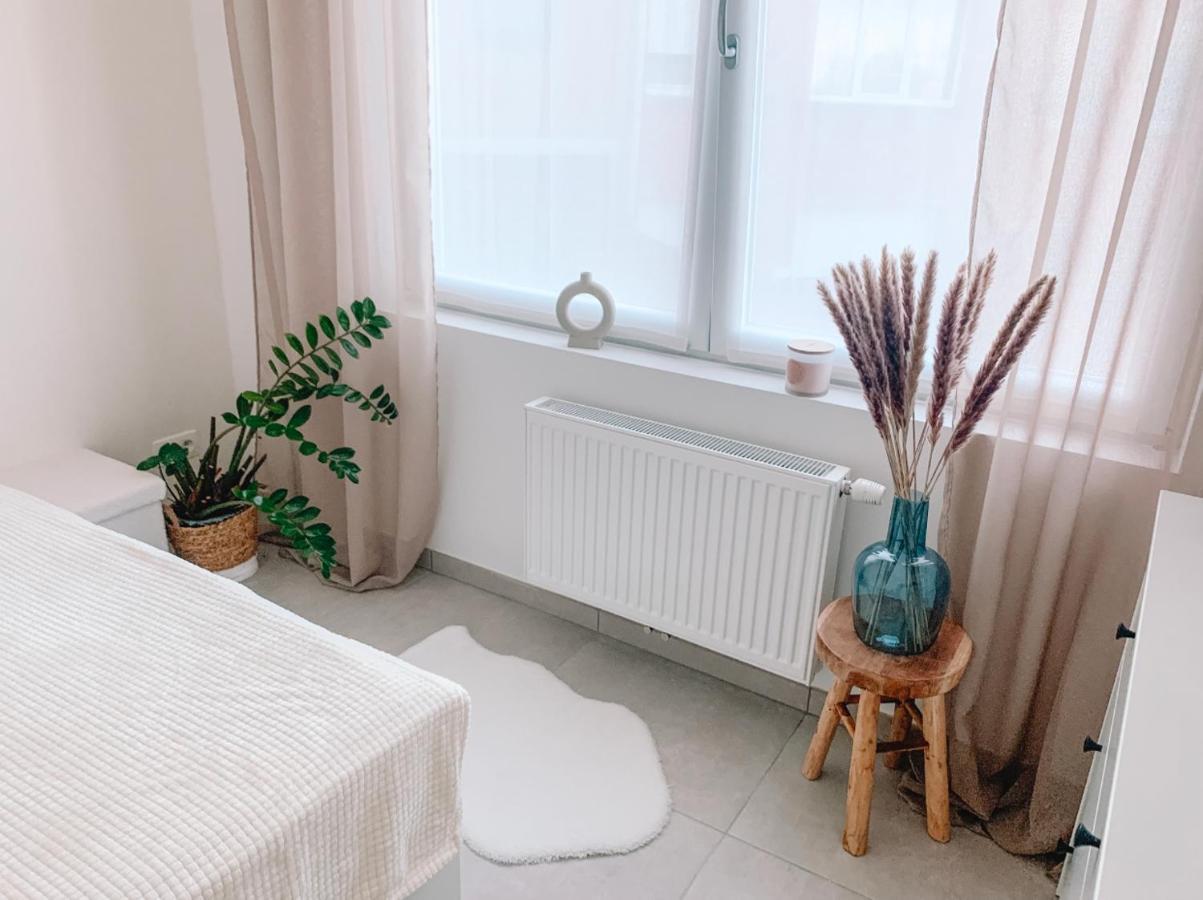 Vintage Dream Apartment Zwijndrecht Ngoại thất bức ảnh