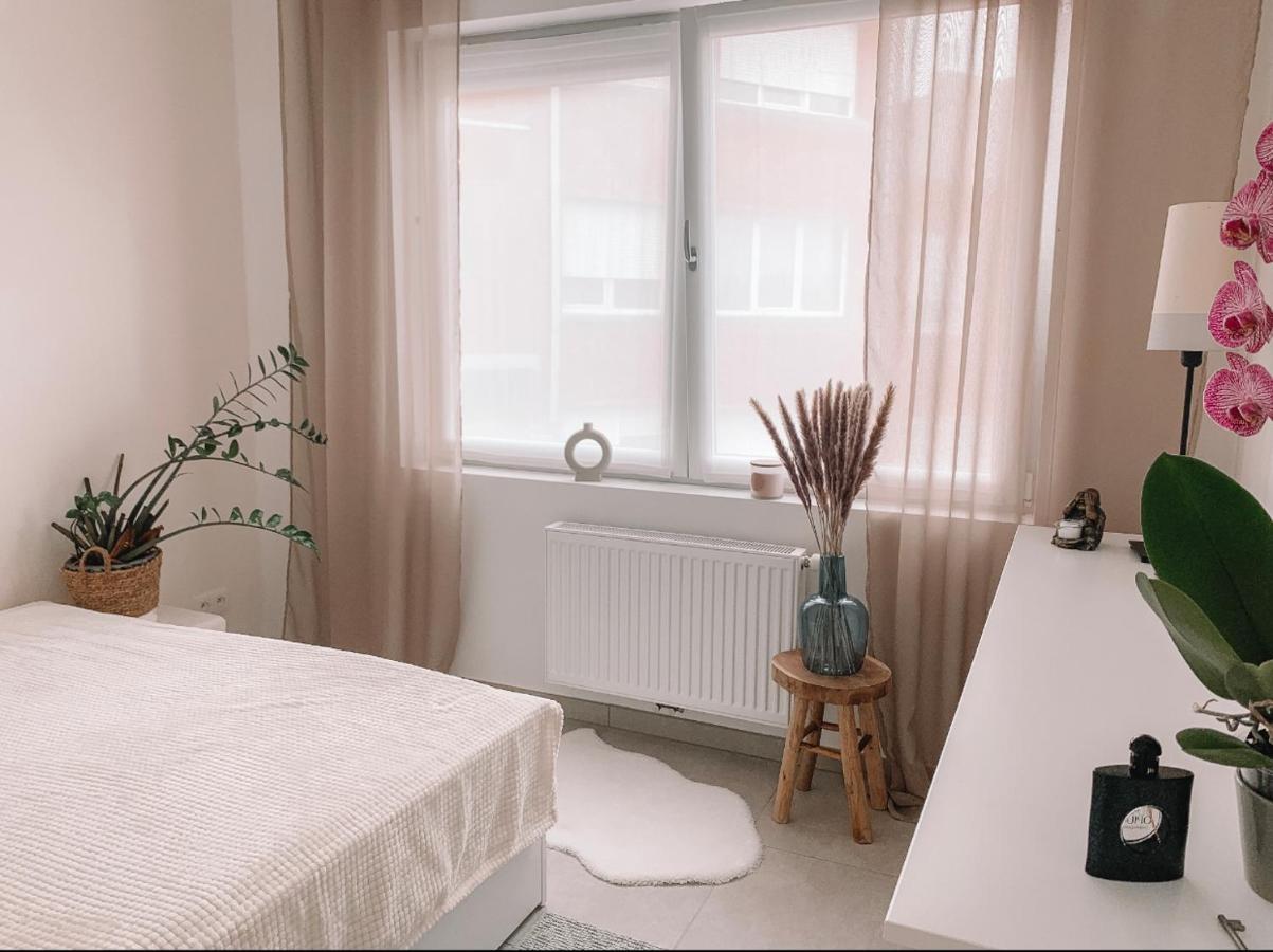 Vintage Dream Apartment Zwijndrecht Ngoại thất bức ảnh