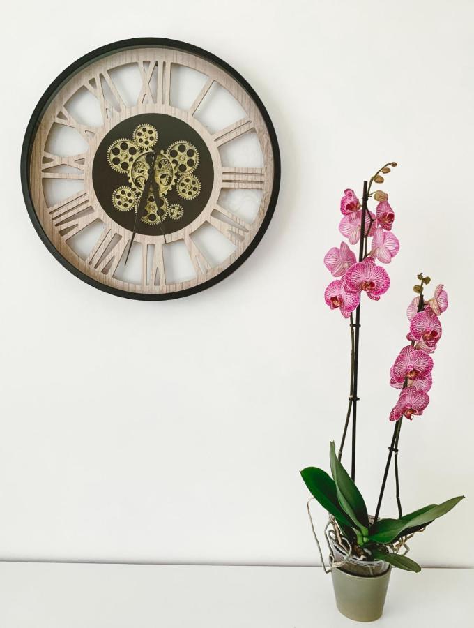 Vintage Dream Apartment Zwijndrecht Ngoại thất bức ảnh