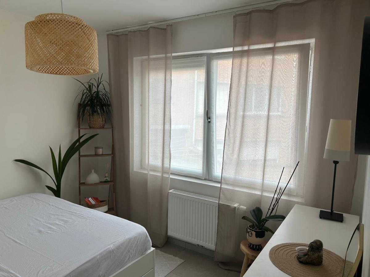 Vintage Dream Apartment Zwijndrecht Ngoại thất bức ảnh