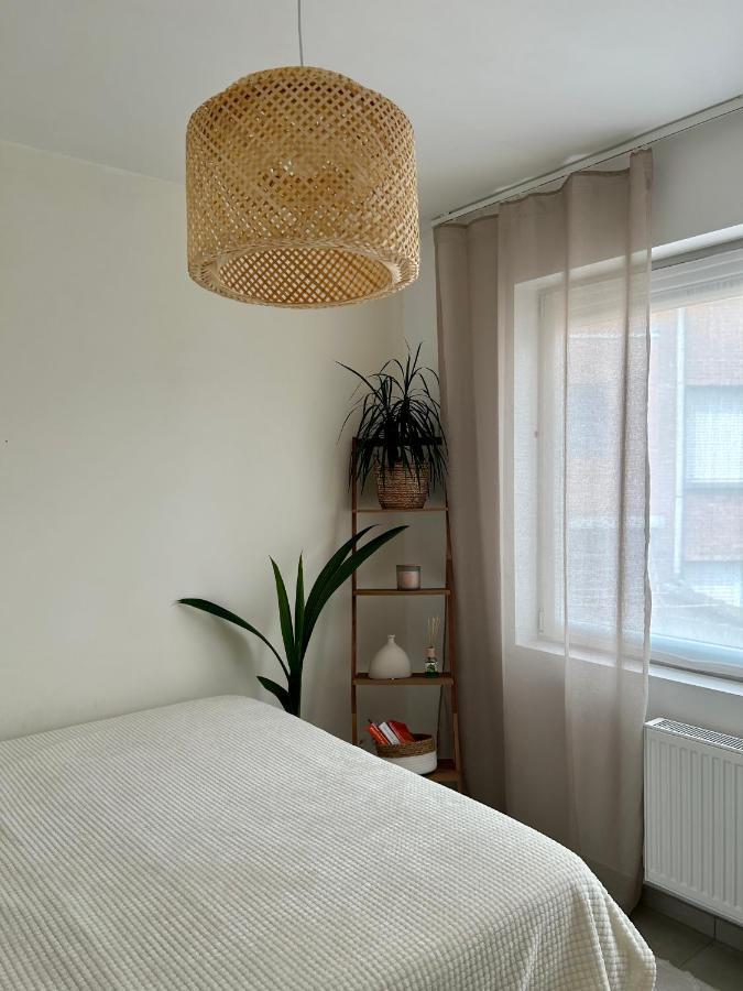 Vintage Dream Apartment Zwijndrecht Ngoại thất bức ảnh